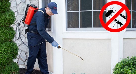 Seben Gümüşkurt İlaçlama böcek ilaçlama ve haşere kontrolü — ilaclama-tr.com